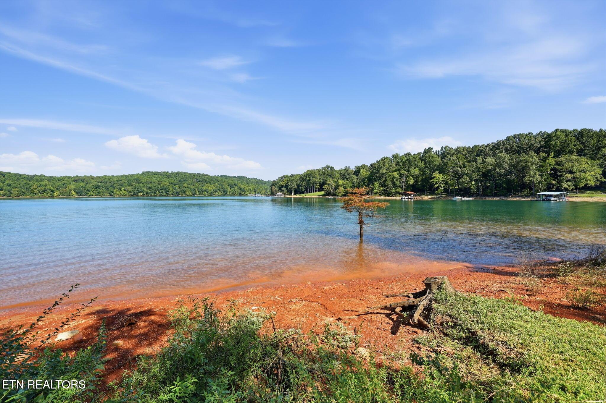 Norris Lake Real Estate - Image# 7