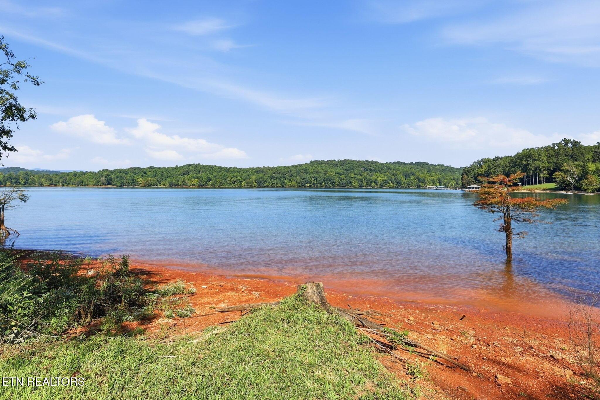 Norris Lake Real Estate - Image# 9