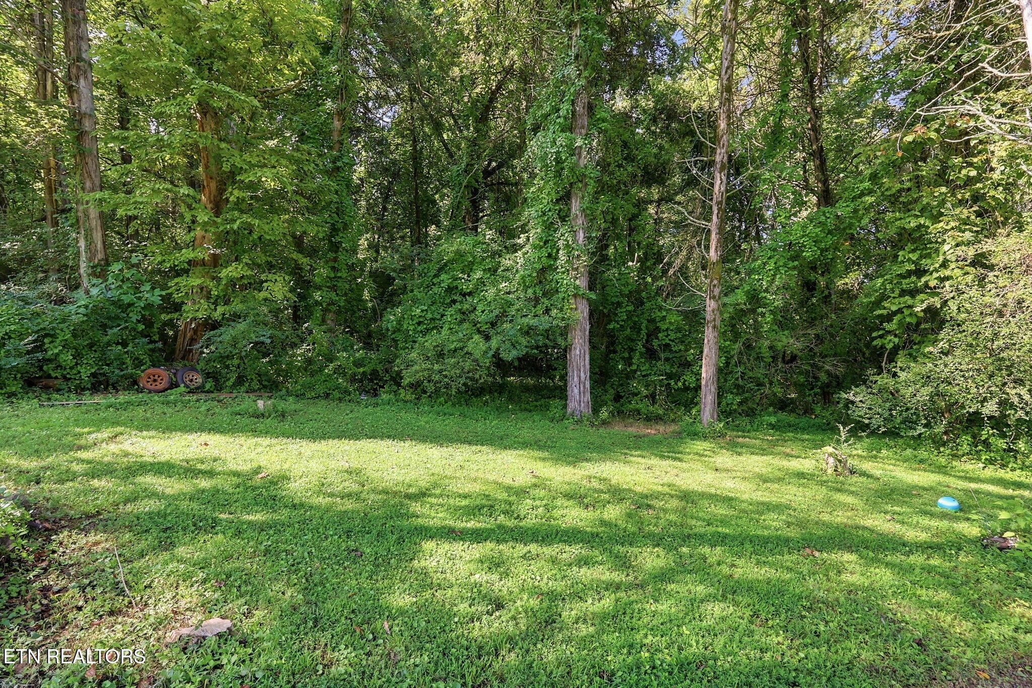 Norris Lake Real Estate - Image# 11