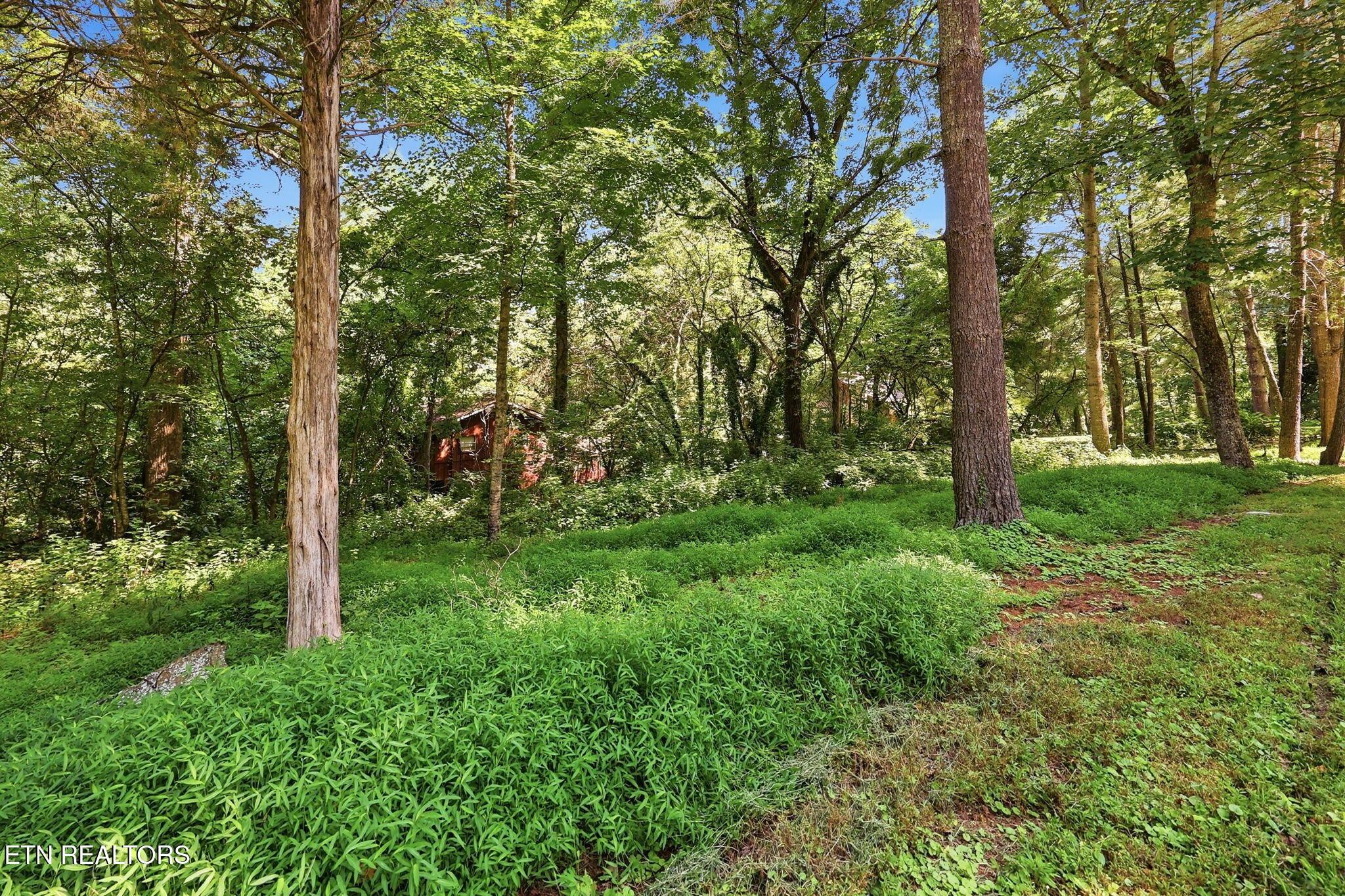 Norris Lake Real Estate - Image# 13