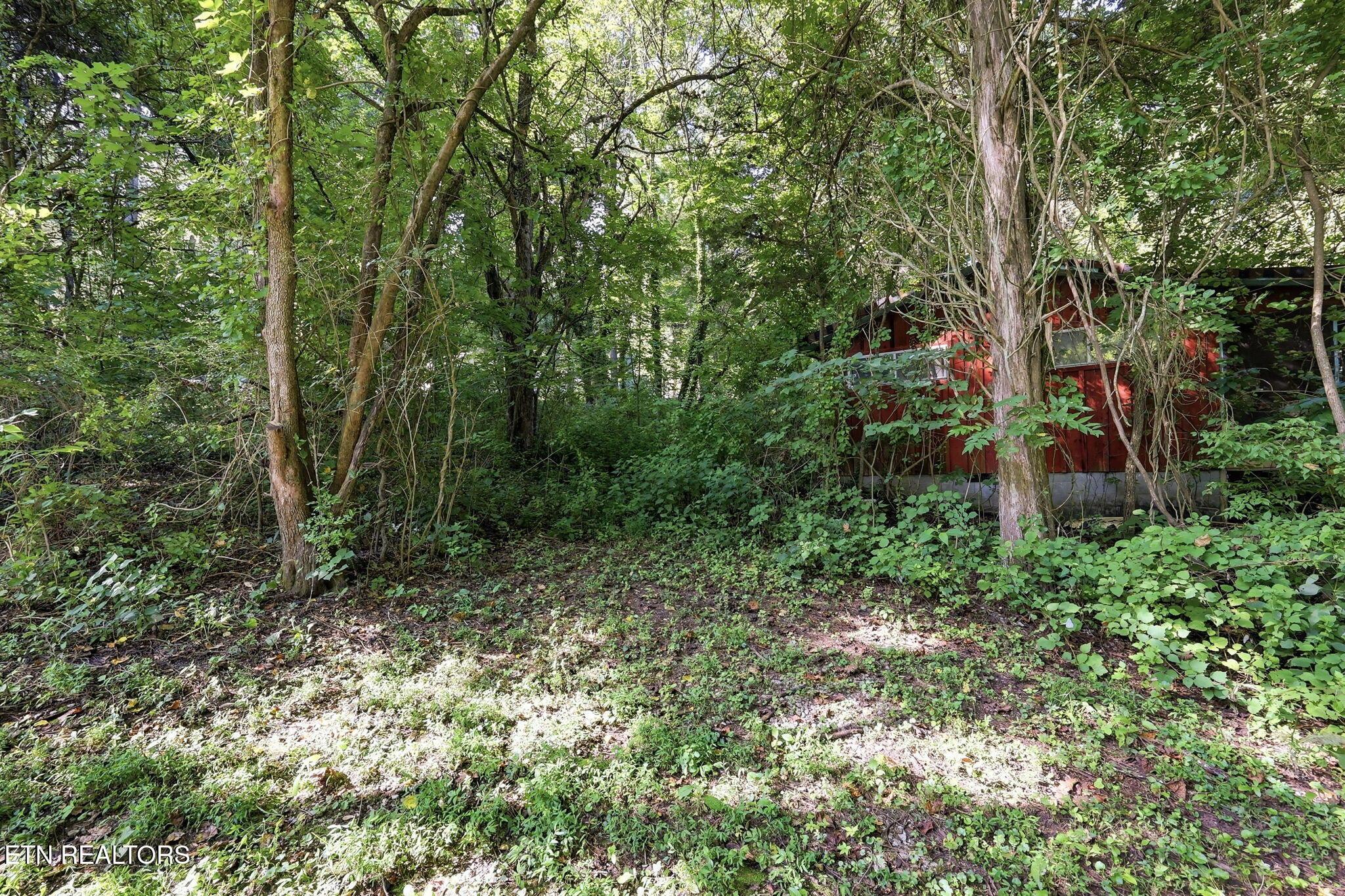 Norris Lake Real Estate - Image# 15