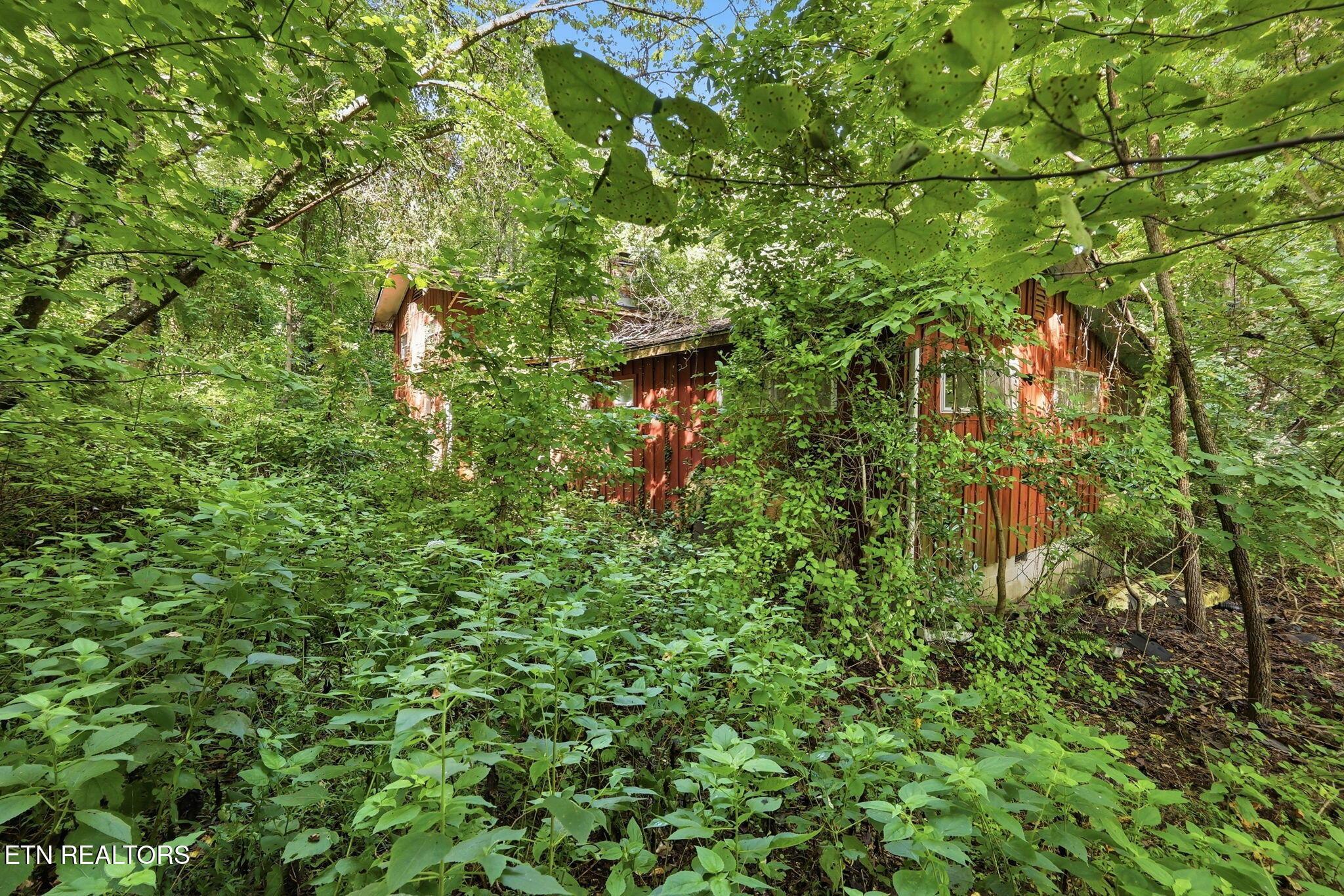 Norris Lake Real Estate - Image# 17