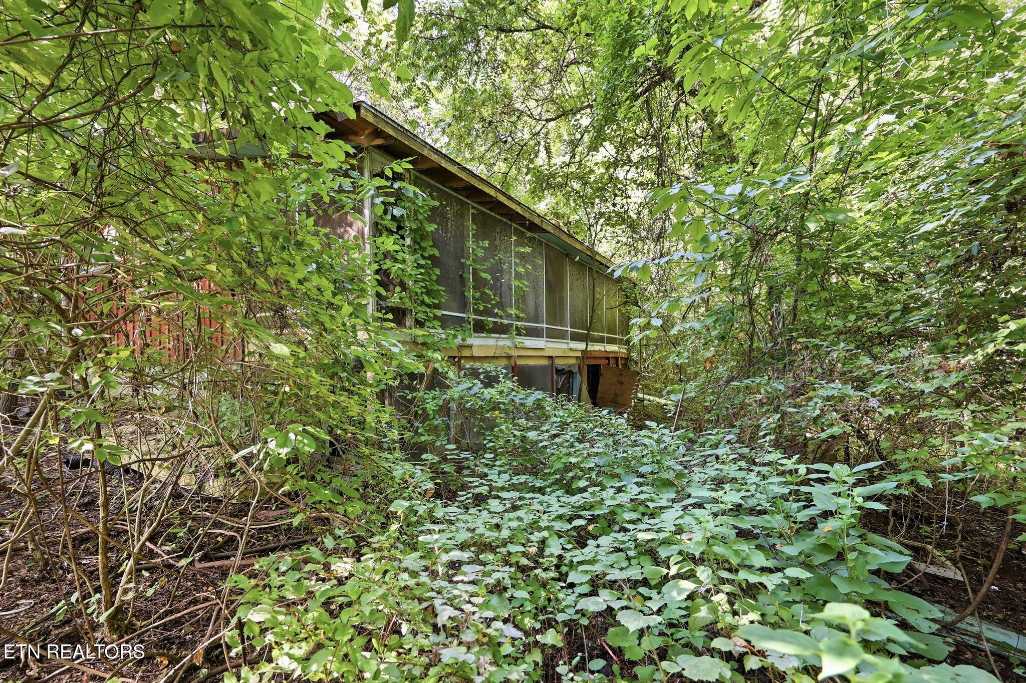 Norris Lake Real Estate - Image# 19