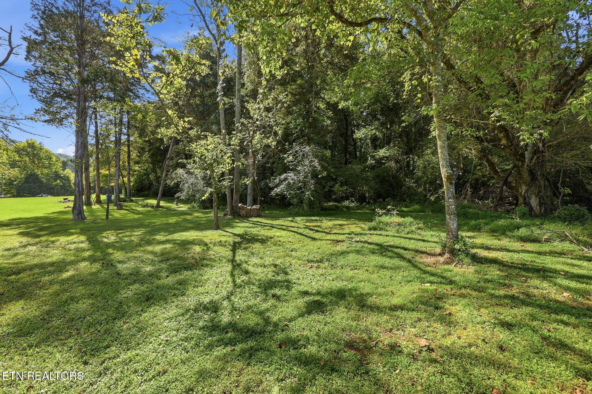 Norris Lake Real Estate - Image# 21