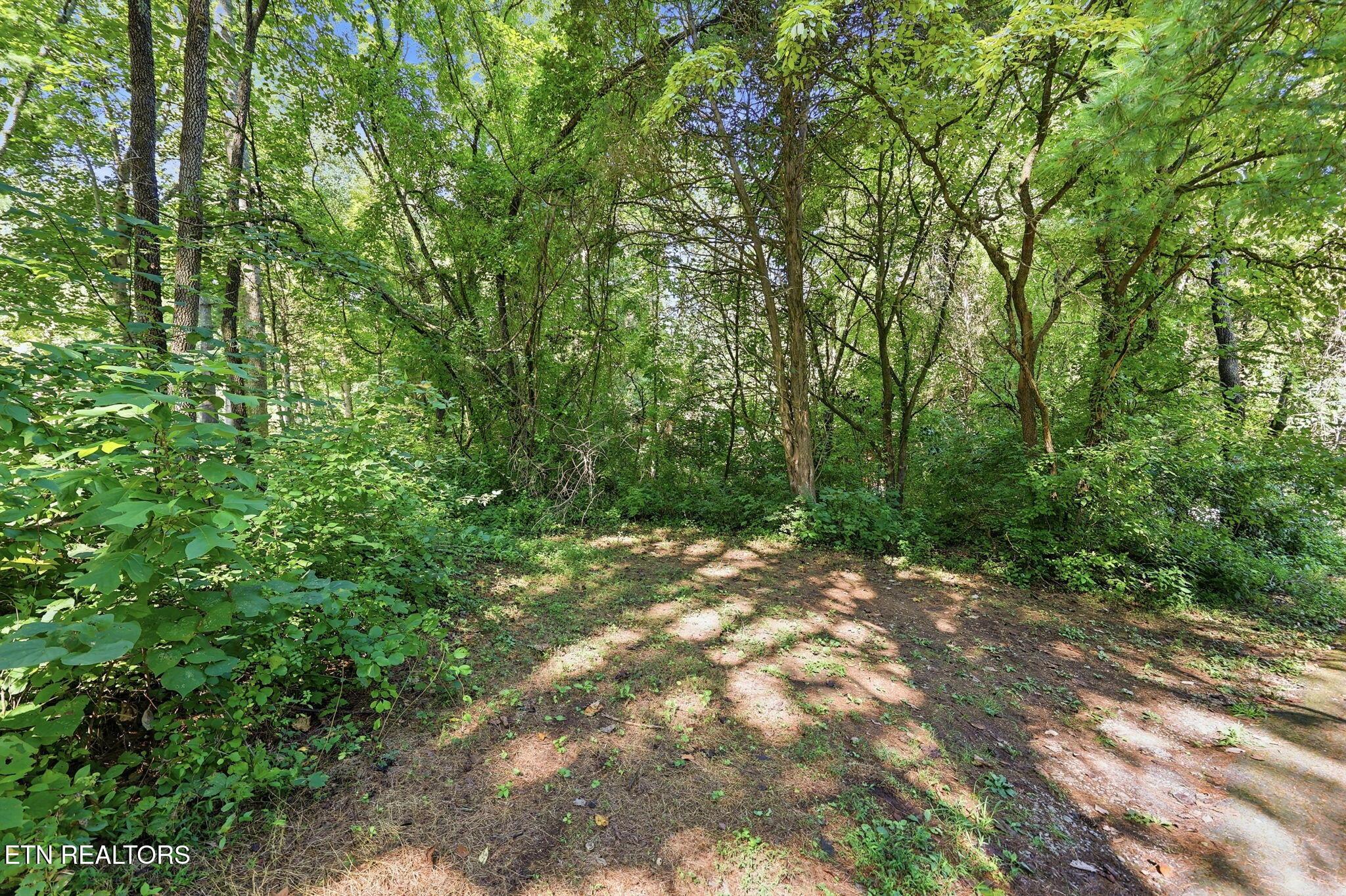 Norris Lake Real Estate - Image# 23