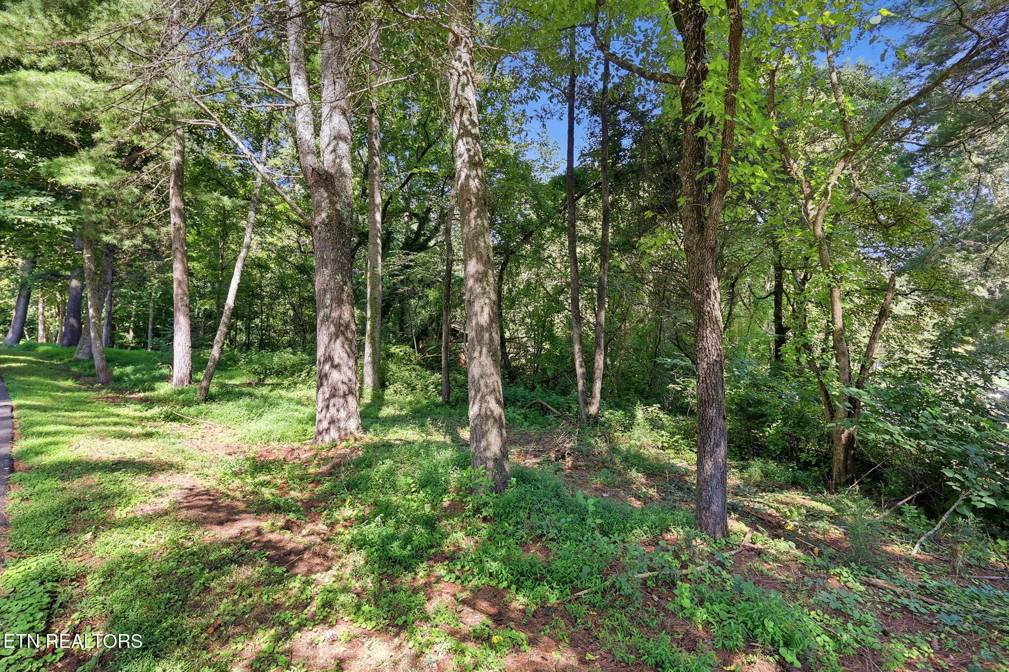 Norris Lake Real Estate - Image# 25
