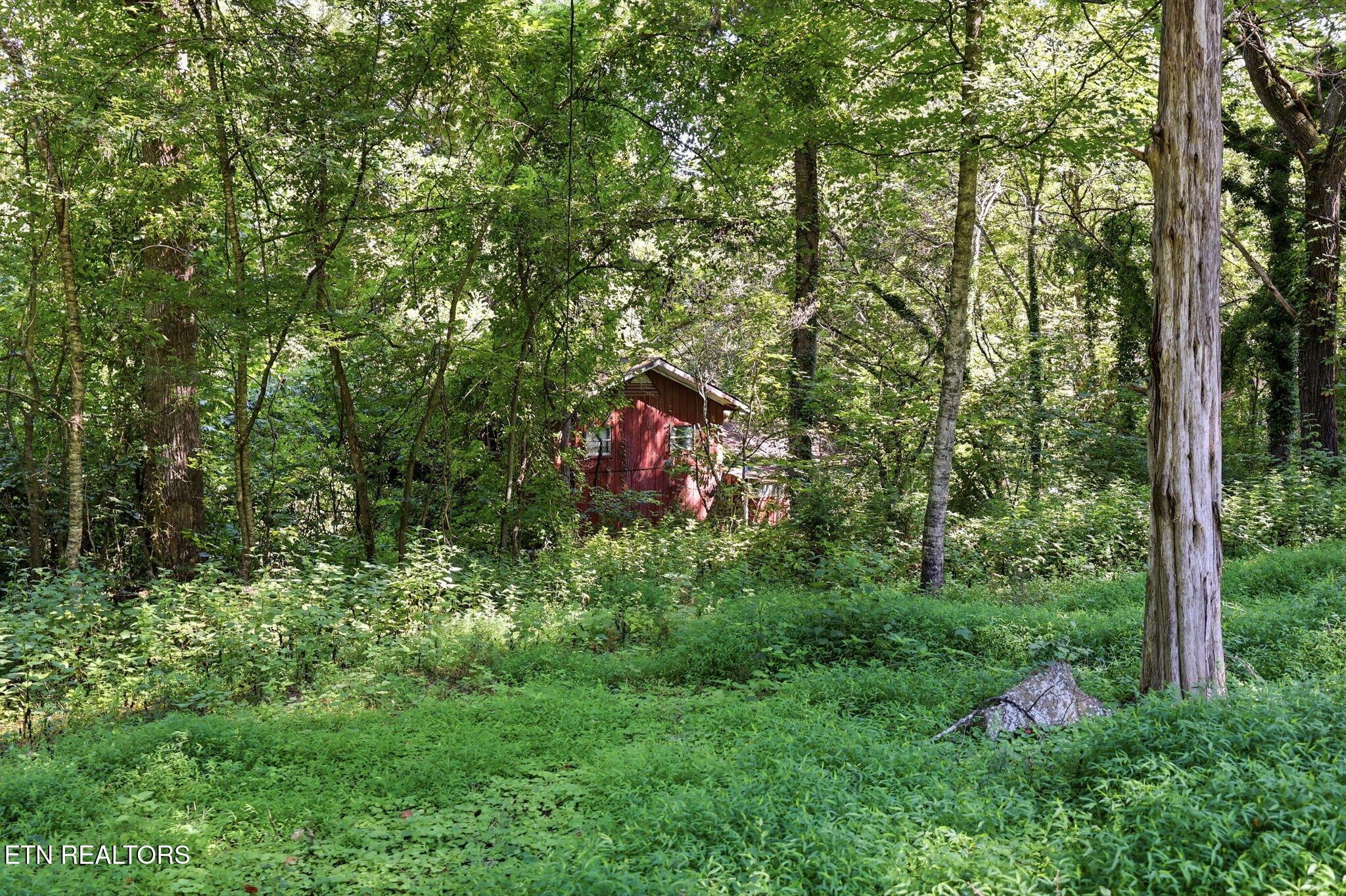 Norris Lake Real Estate - Image# 27