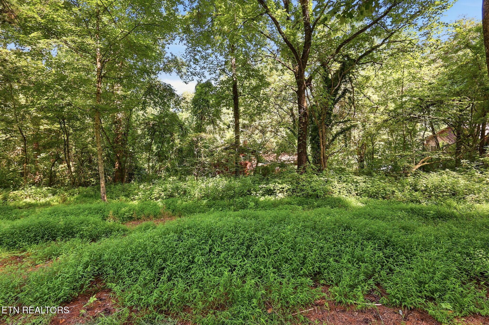 Norris Lake Real Estate - Image# 29