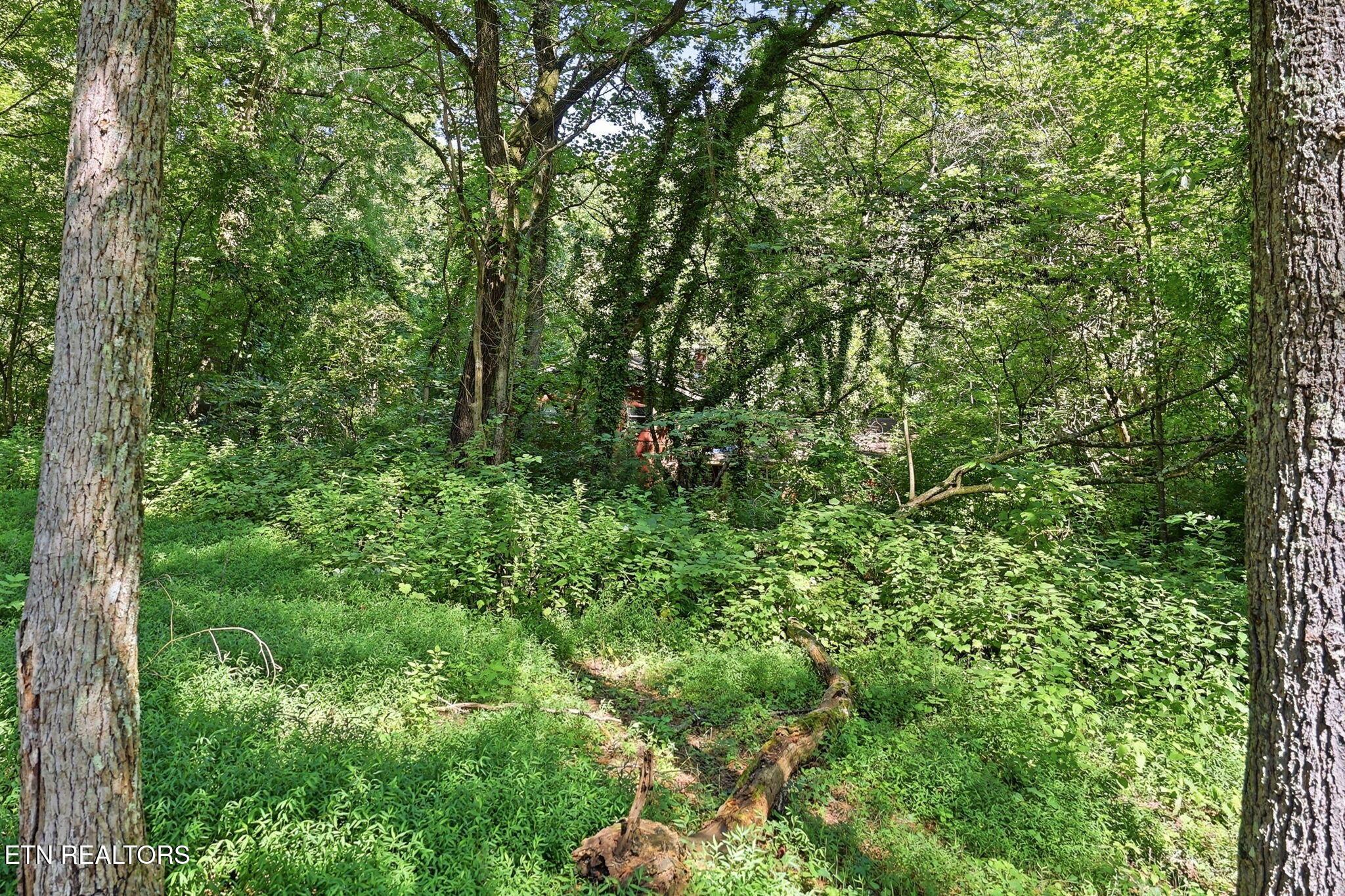 Norris Lake Real Estate - Image# 31