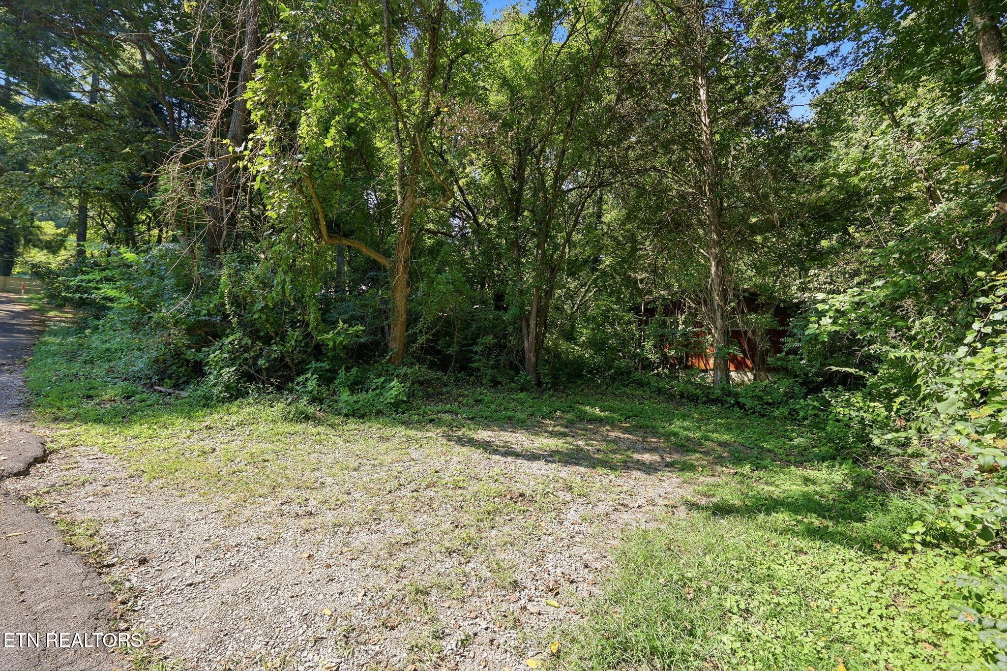 Norris Lake Real Estate - Image# 33