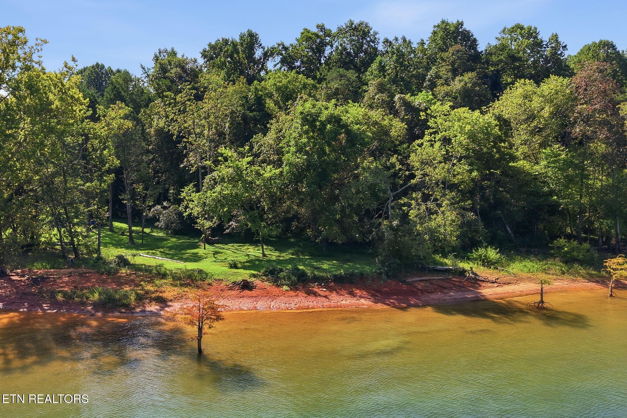 Norris Lake Real Estate - Image# 37