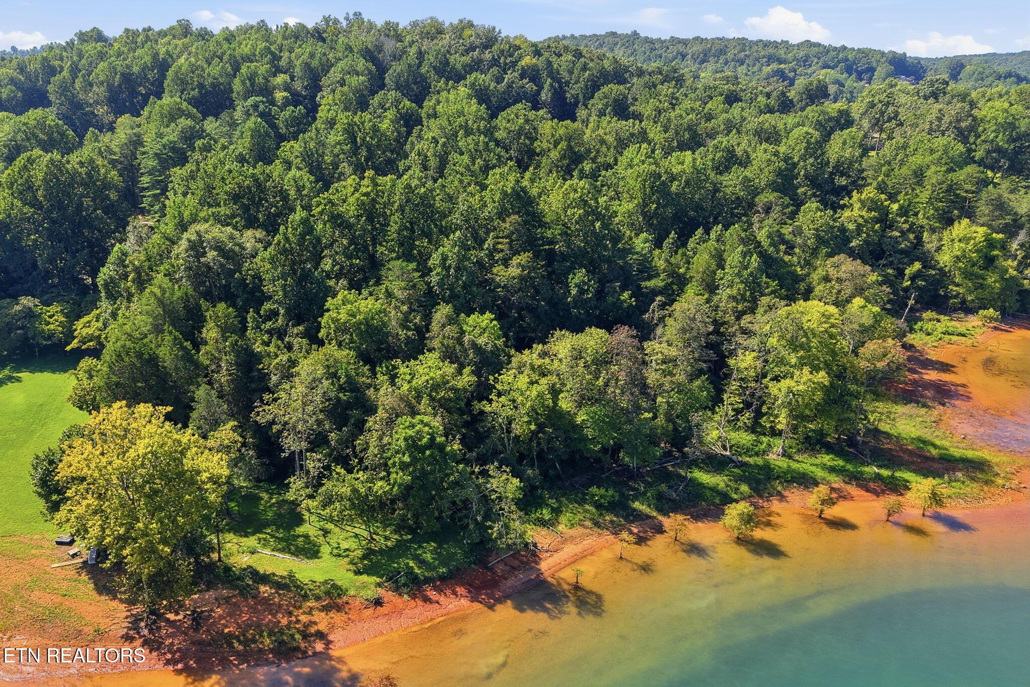 Norris Lake Real Estate - Image# 41