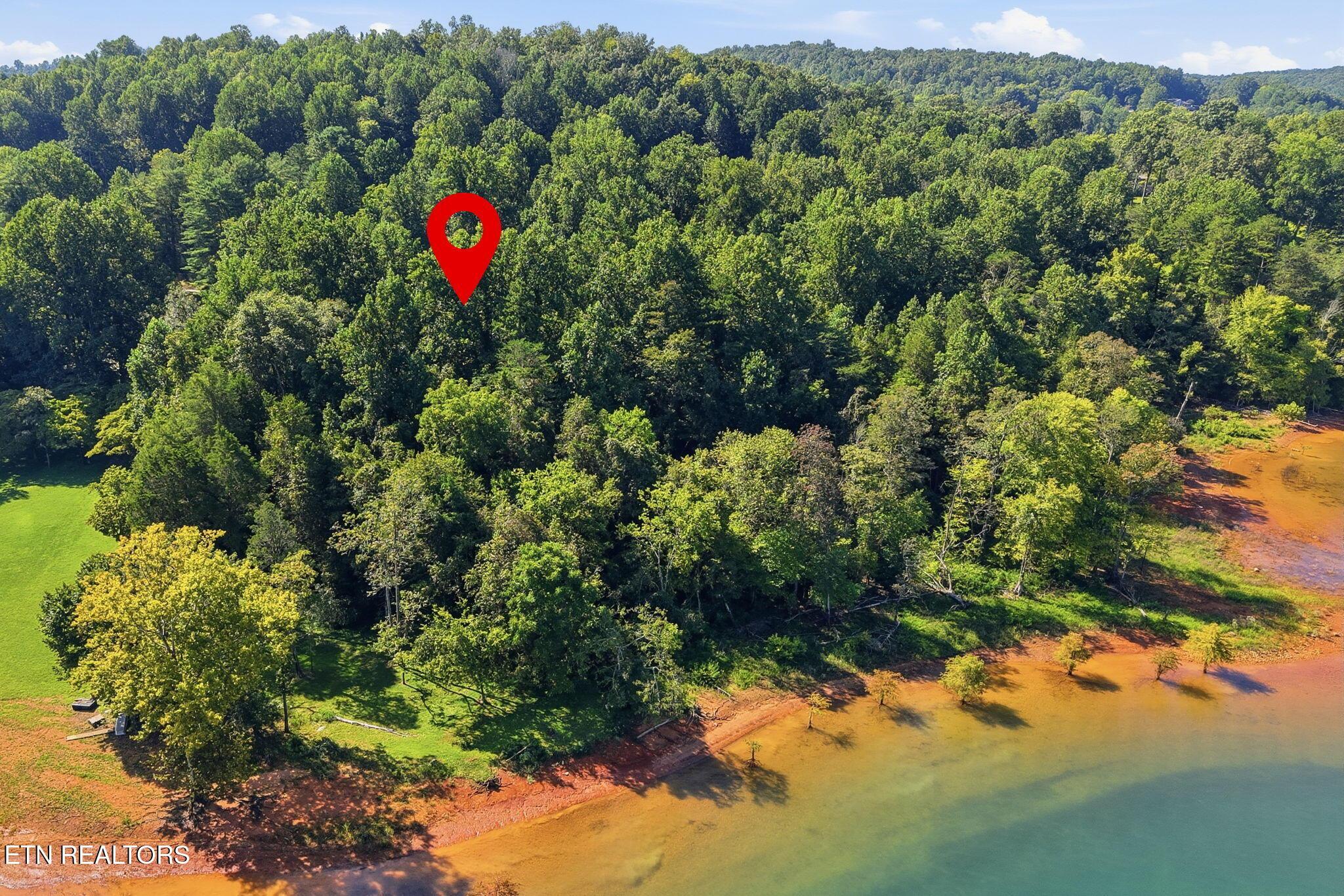 Norris Lake Real Estate - Image# 43