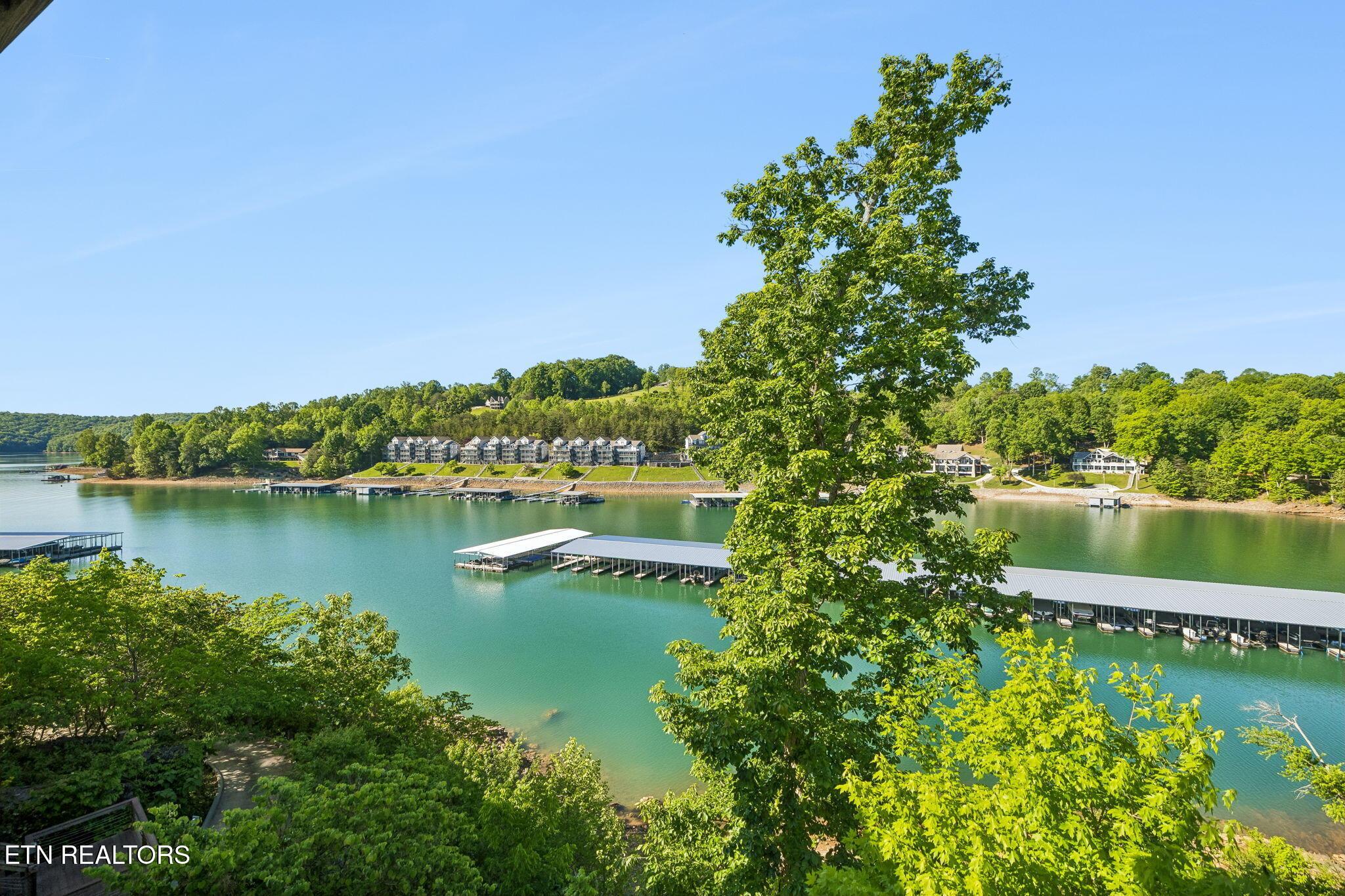 Norris Lake Real Estate - Image# 105