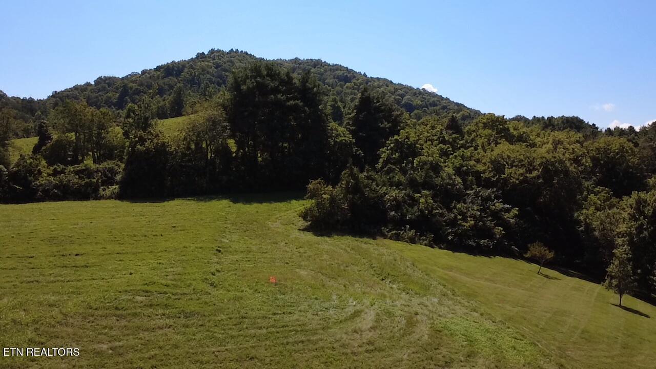 Lot 69 Windy Sails Lane, Sharps Chapel, TN - Norris Lake Real Estate - Image# 3