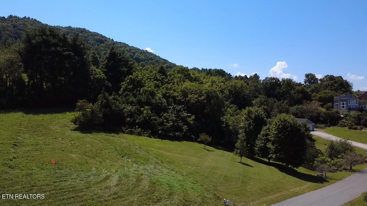 Lot 69 Windy Sails Lane, Sharps Chapel, TN - Norris Lake Real Estate - Image# 4