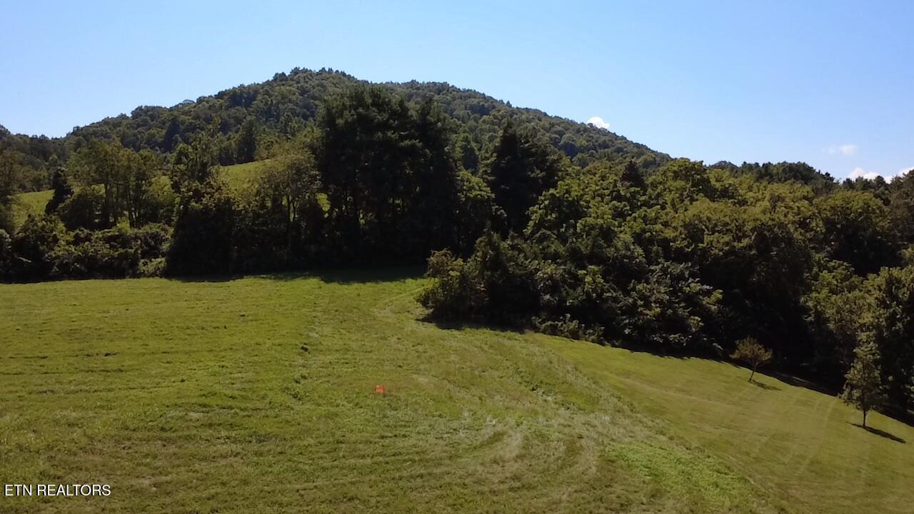 Lot 69 Windy Sails Lane, Sharps Chapel, TN - Norris Lake Real Estate - Image# 5