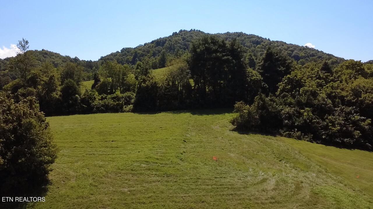 Lot 69 Windy Sails Lane, Sharps Chapel, TN - Norris Lake Real Estate - Image# 6