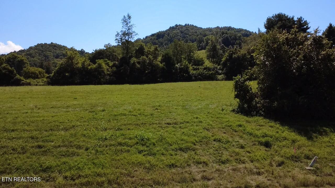 Lot 69 Windy Sails Lane, Sharps Chapel, TN - Norris Lake Real Estate - Image# 7