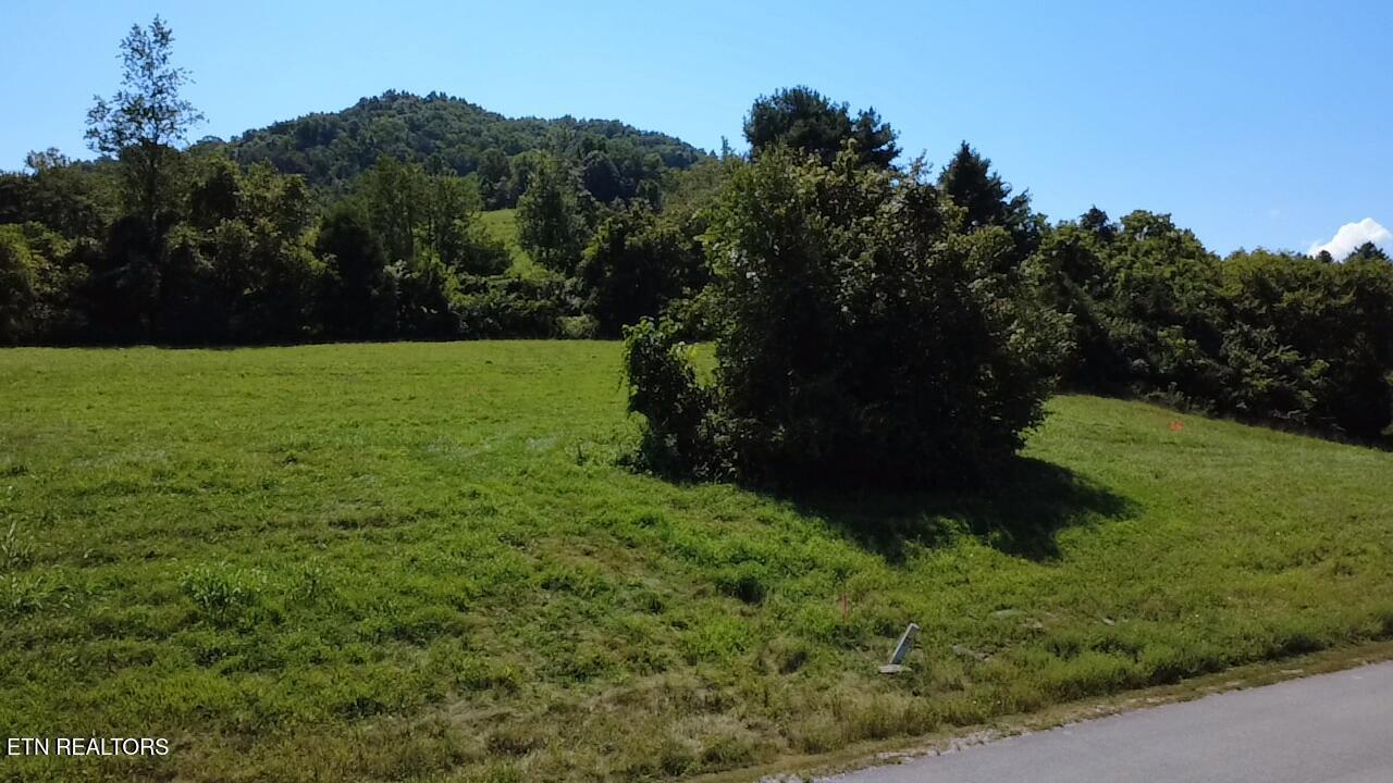 Lot 69 Windy Sails Lane, Sharps Chapel, TN - Norris Lake Real Estate - Image# 8