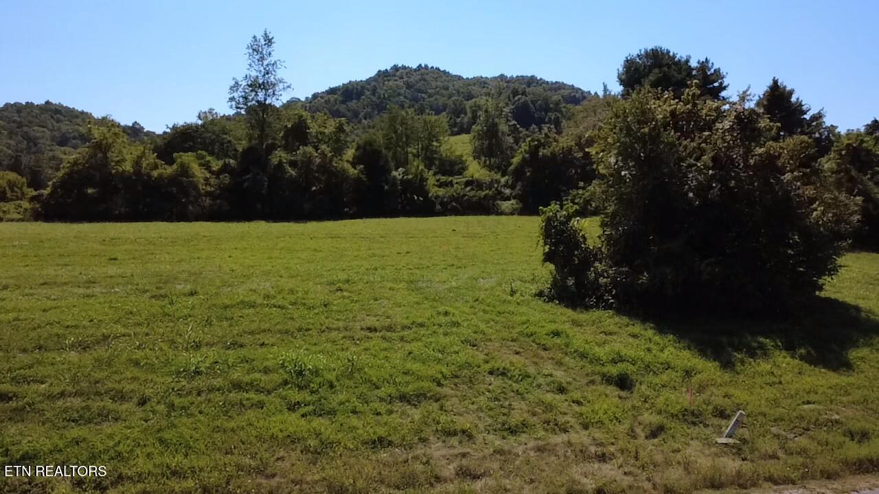 Lot 69 Windy Sails Lane, Sharps Chapel, TN - Norris Lake Real Estate - Image# 9