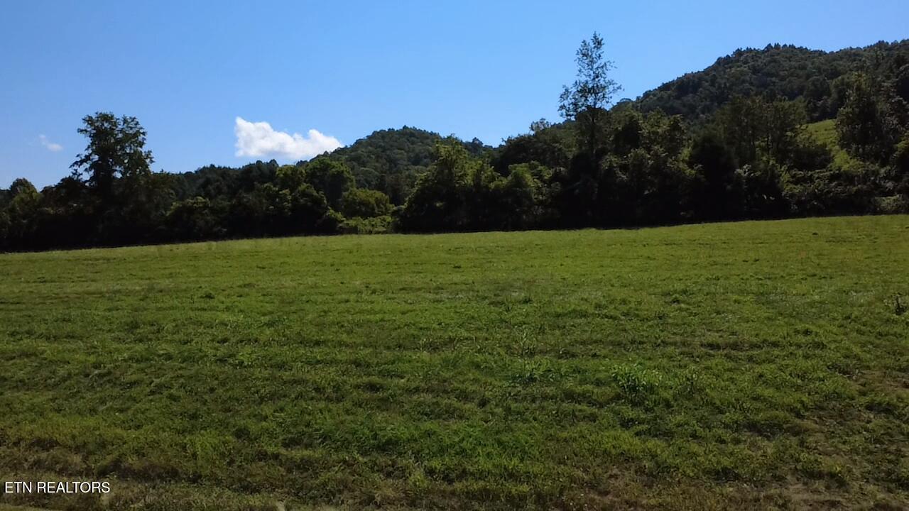 Lot 69 Windy Sails Lane, Sharps Chapel, TN - Norris Lake Real Estate - Image# 10
