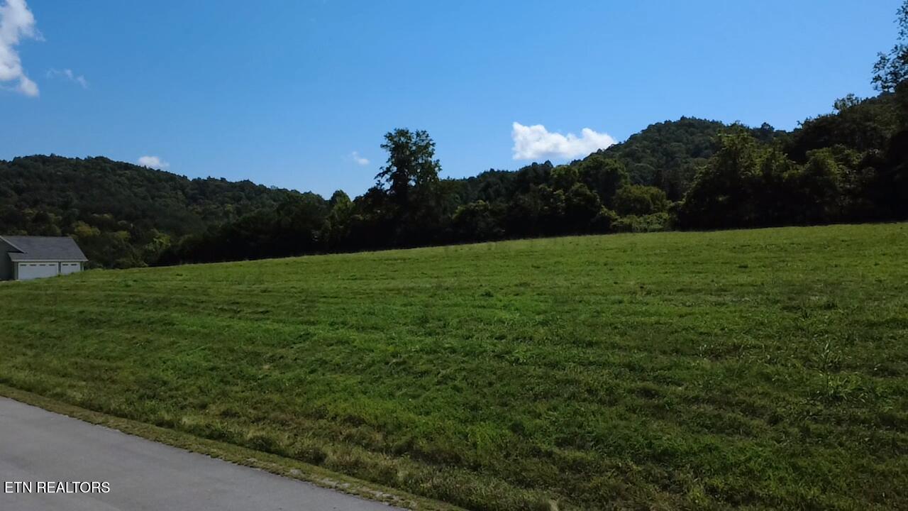 Lot 69 Windy Sails Lane, Sharps Chapel, TN - Norris Lake Real Estate - Image# 11