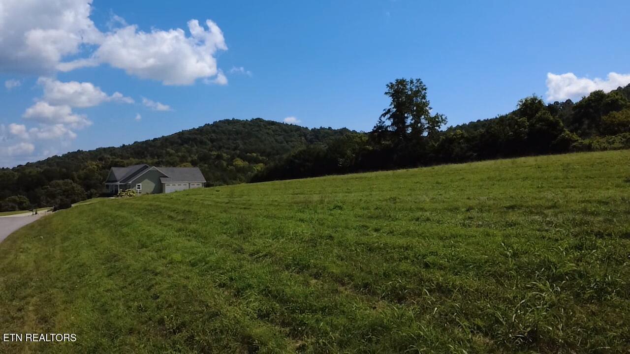 Lot 69 Windy Sails Lane, Sharps Chapel, TN - Norris Lake Real Estate - Image# 16