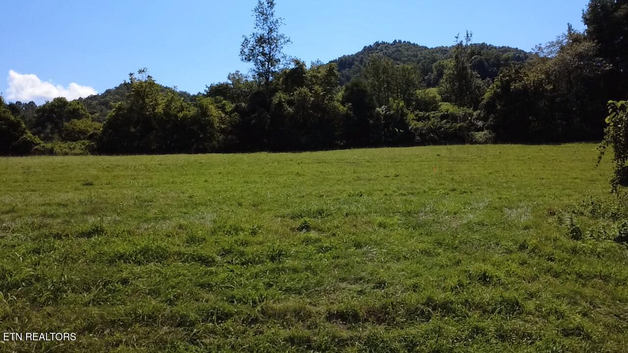 Lot 69 Windy Sails Lane, Sharps Chapel, TN - Norris Lake Real Estate - Image# 19