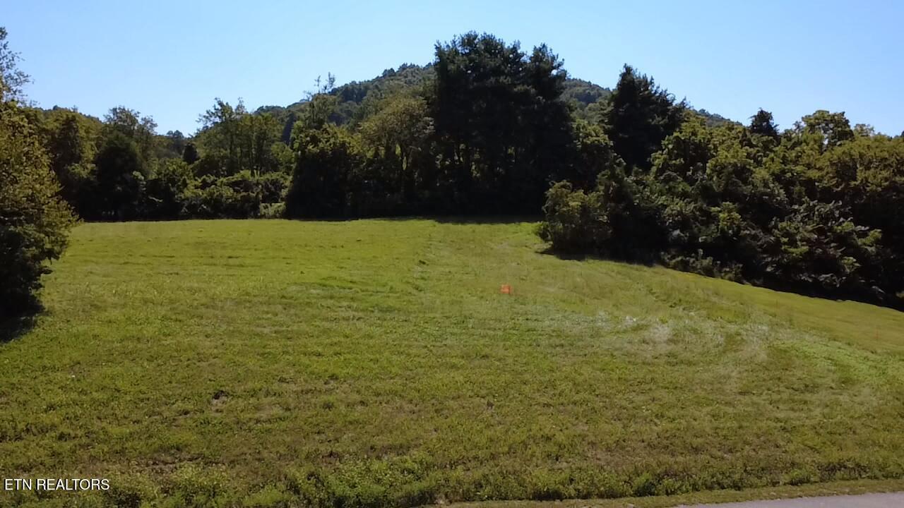 Lot 69 Windy Sails Lane, Sharps Chapel, TN - Norris Lake Real Estate - Image# 22