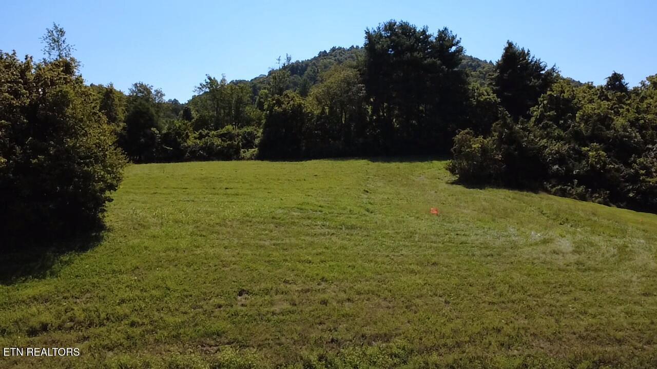 Lot 69 Windy Sails Lane, Sharps Chapel, TN - Norris Lake Real Estate - Image# 23