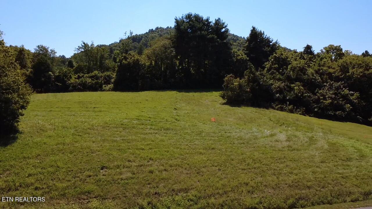 Lot 69 Windy Sails Lane, Sharps Chapel, TN - Norris Lake Real Estate - Image# 24