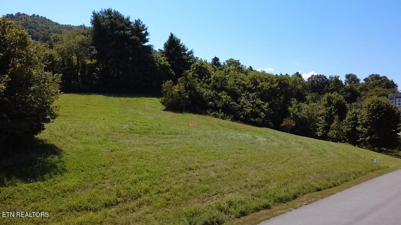 Lot 69 Windy Sails Lane, Sharps Chapel, TN - Norris Lake Real Estate - Image# 27