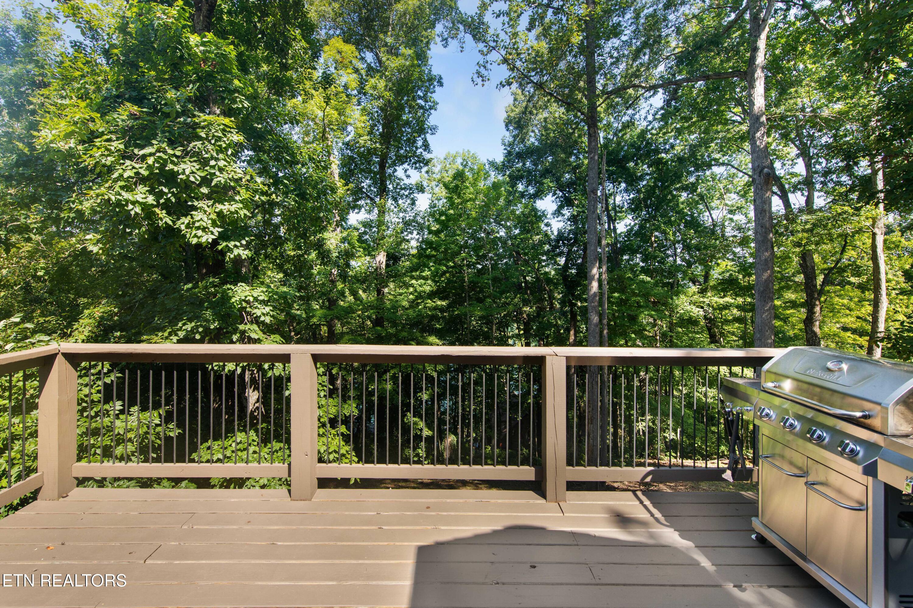 151 Dogwood Tr, Maynardville, TN - Norris Lake Real Estate - Image# 26