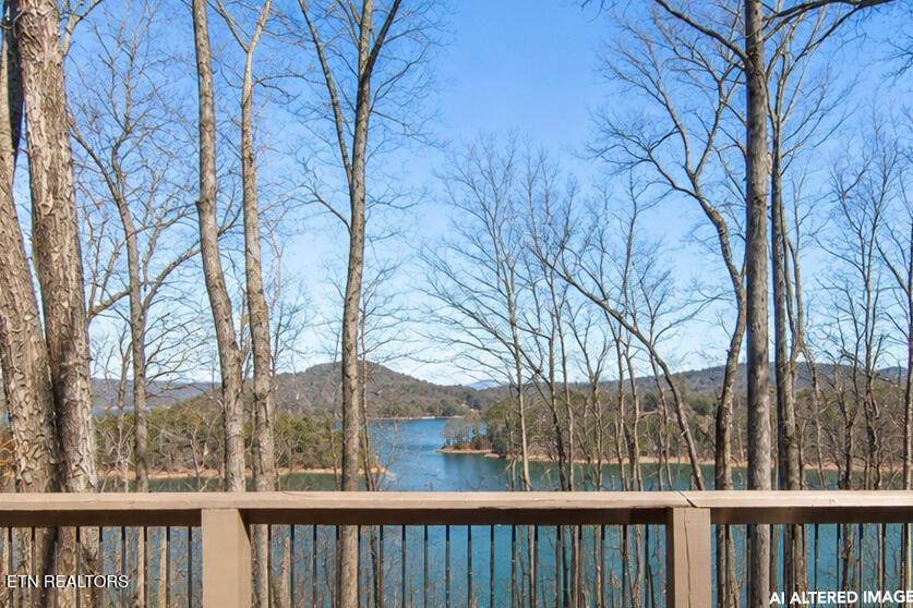 151 Dogwood Tr, Maynardville, TN - Norris Lake Real Estate - Image# 35