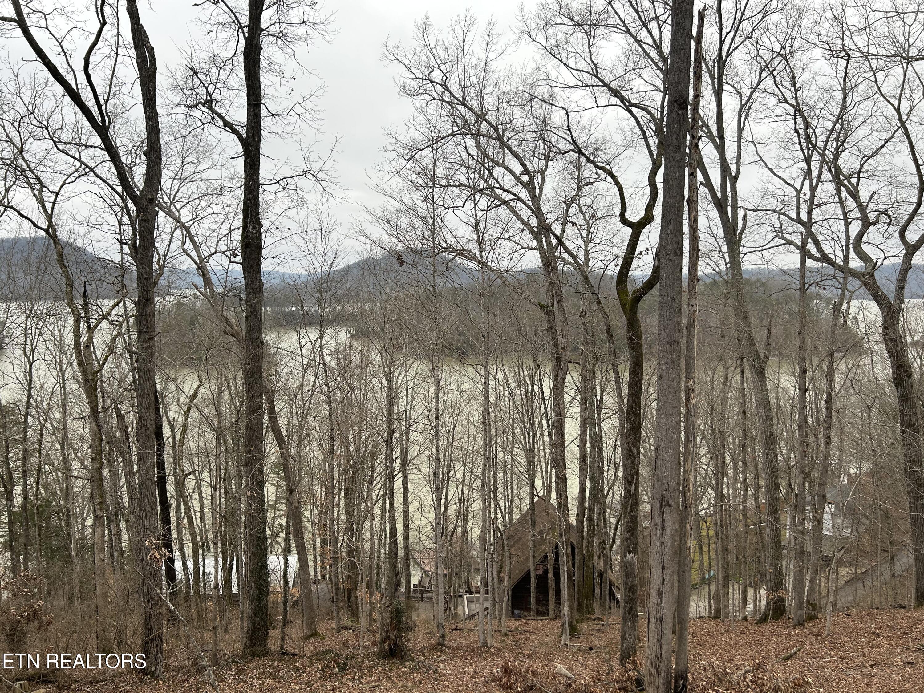 151 Dogwood Tr, Maynardville, TN - Norris Lake Real Estate - Image# 37