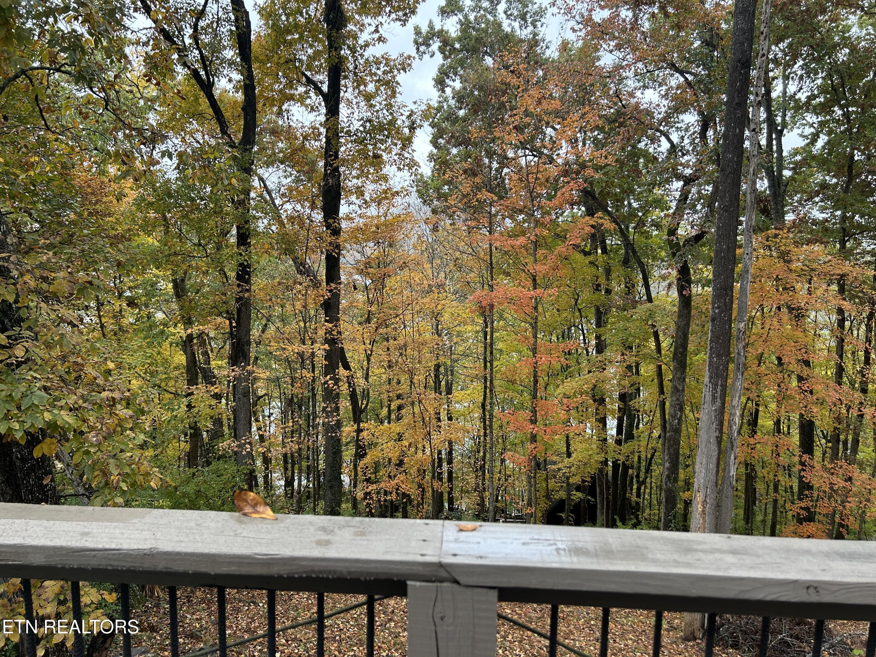 151 Dogwood Tr, Maynardville, TN - Norris Lake Real Estate - Image# 38