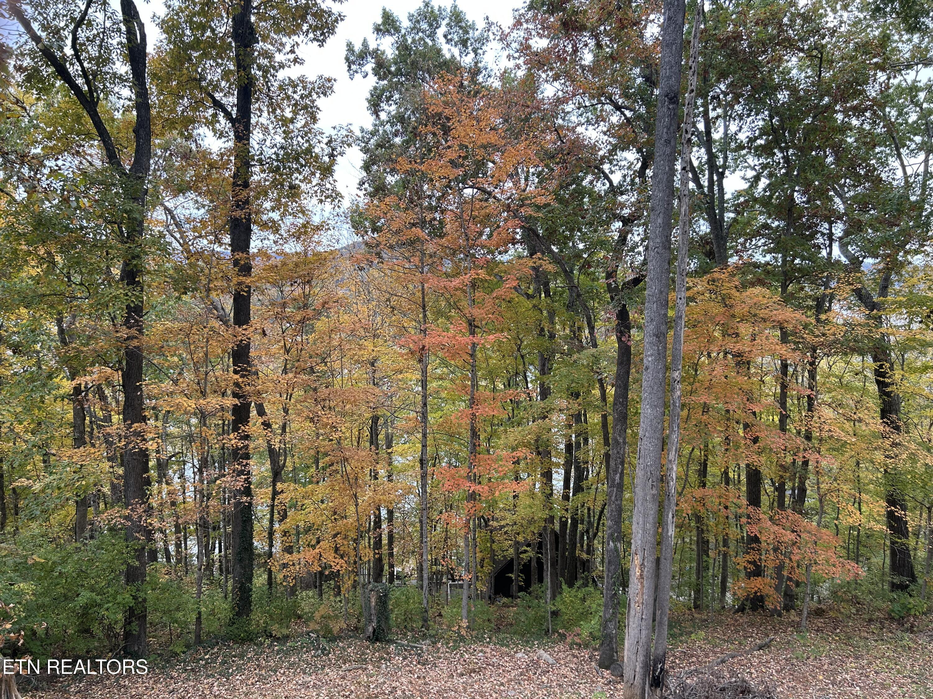 151 Dogwood Tr, Maynardville, TN - Norris Lake Real Estate - Image# 39