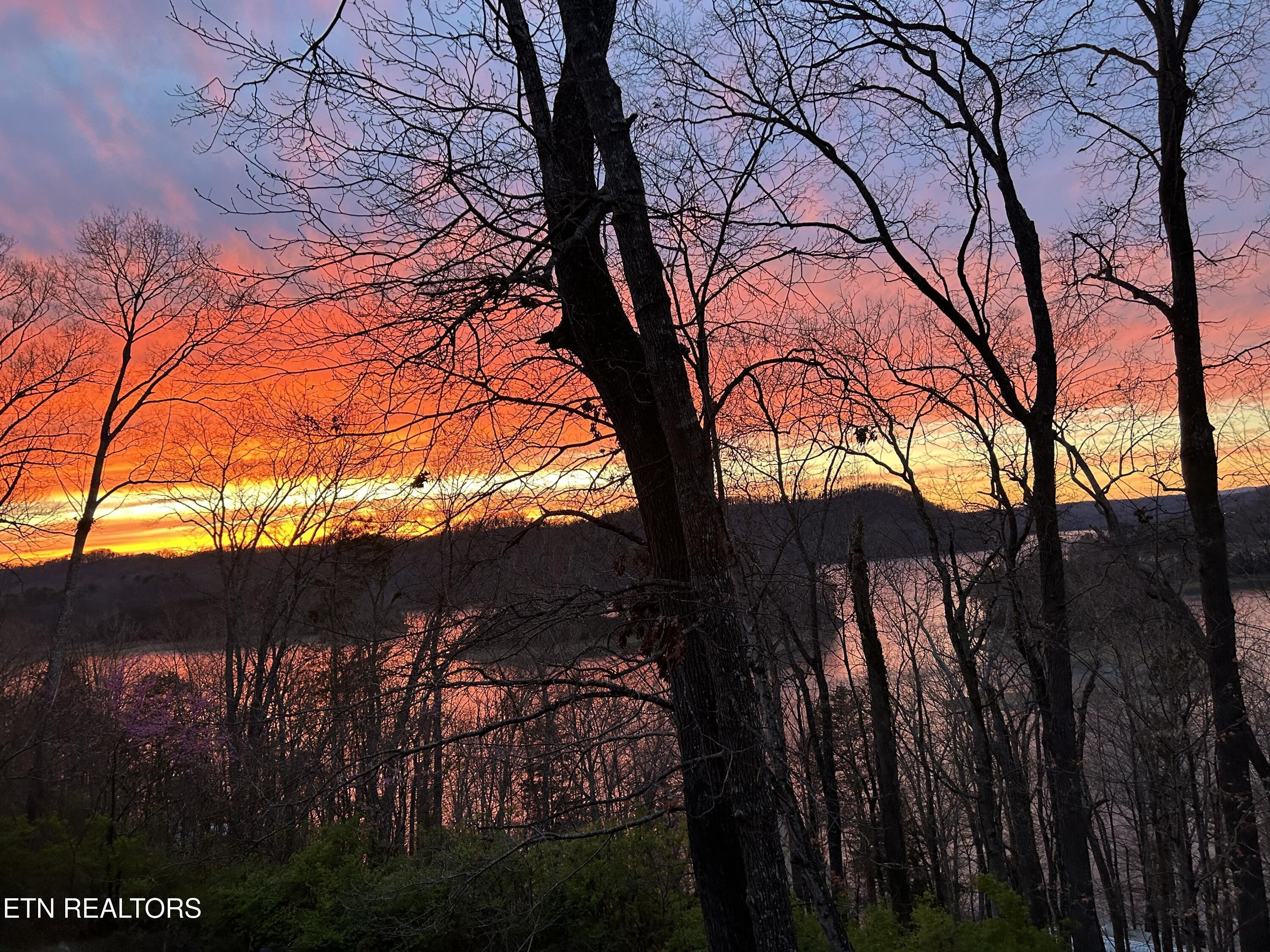 151 Dogwood Tr, Maynardville, TN - Norris Lake Real Estate - Image# 40