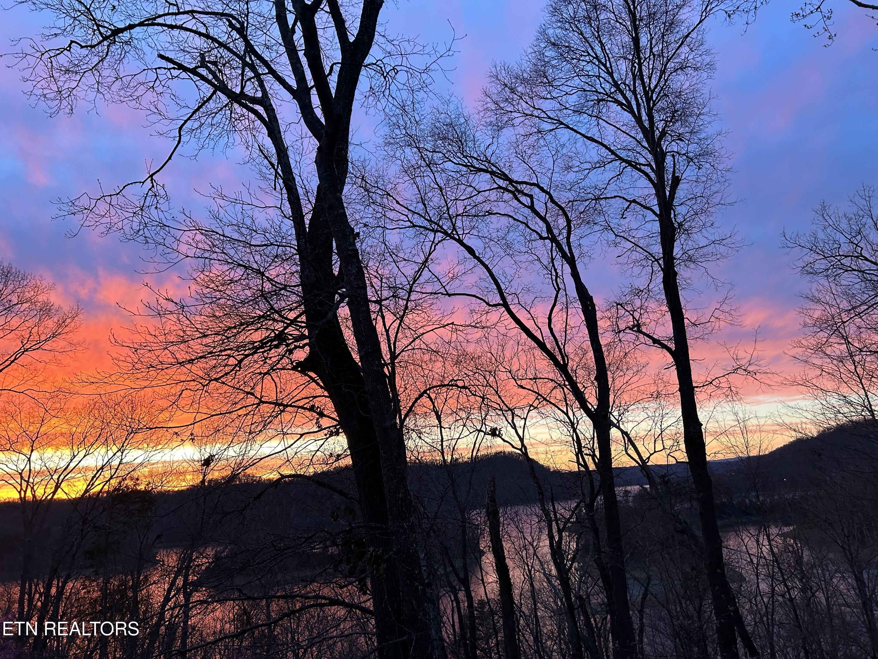 151 Dogwood Tr, Maynardville, TN - Norris Lake Real Estate - Image# 41