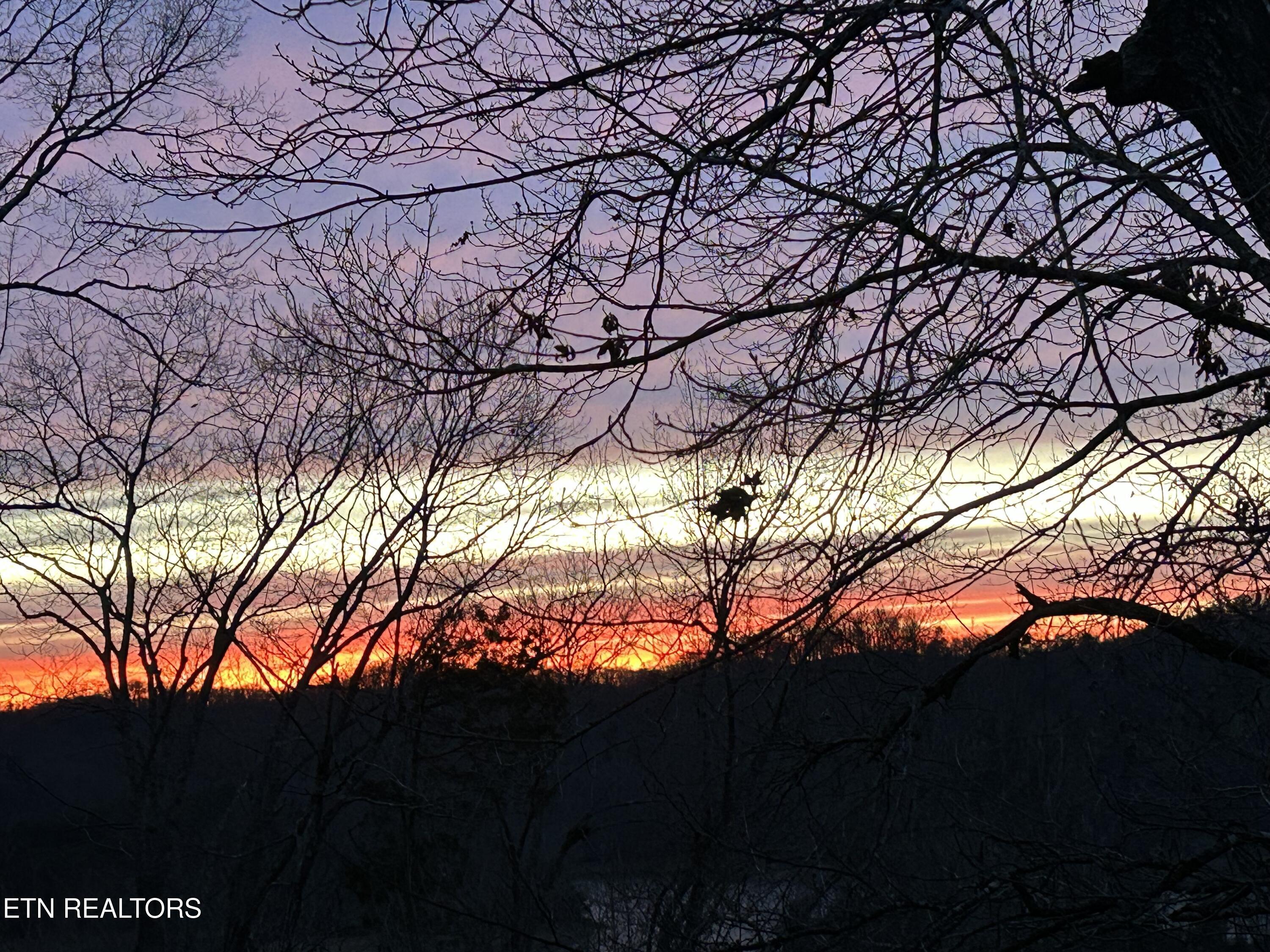 151 Dogwood Tr, Maynardville, TN - Norris Lake Real Estate - Image# 42
