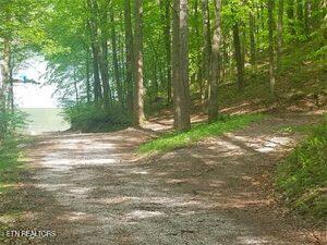 Norris Lake Real Estate - Image# 8