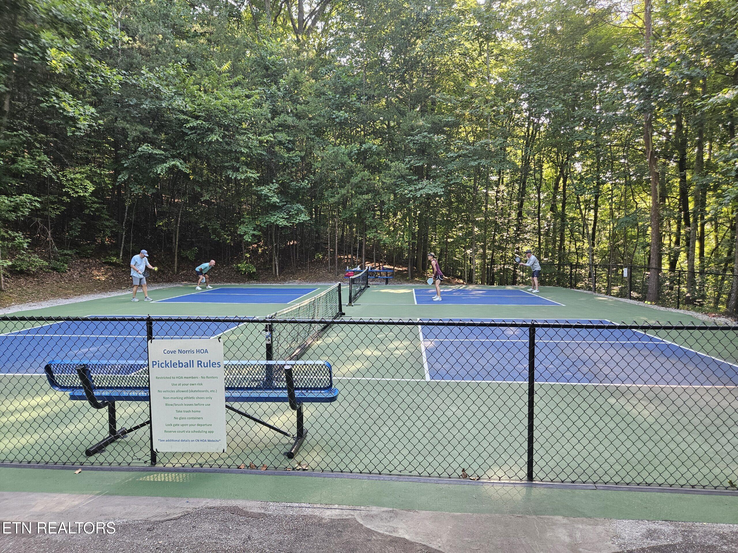 Norris Lake Real Estate - Image# 10