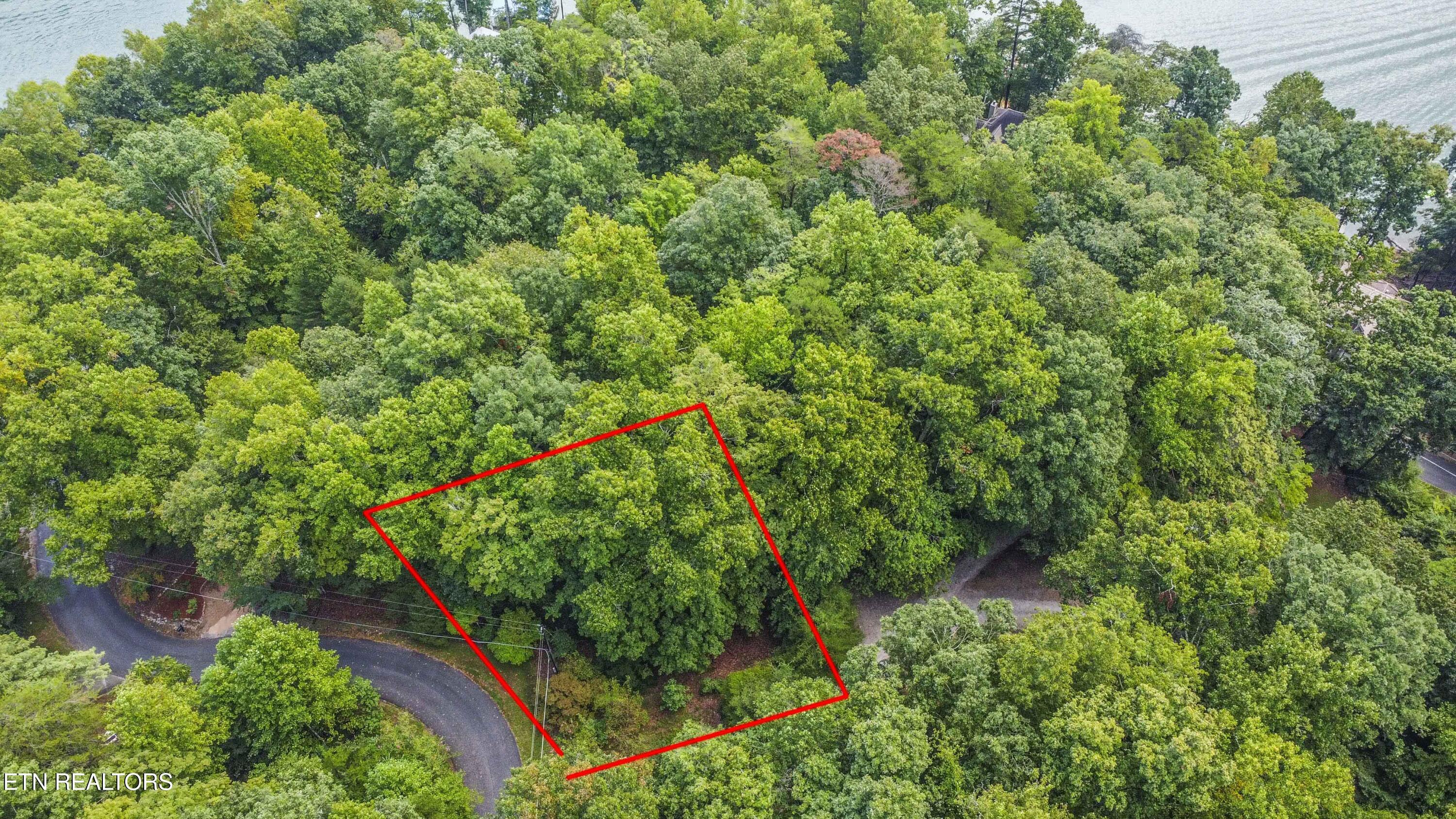 Norris Lake Real Estate - Image# 11