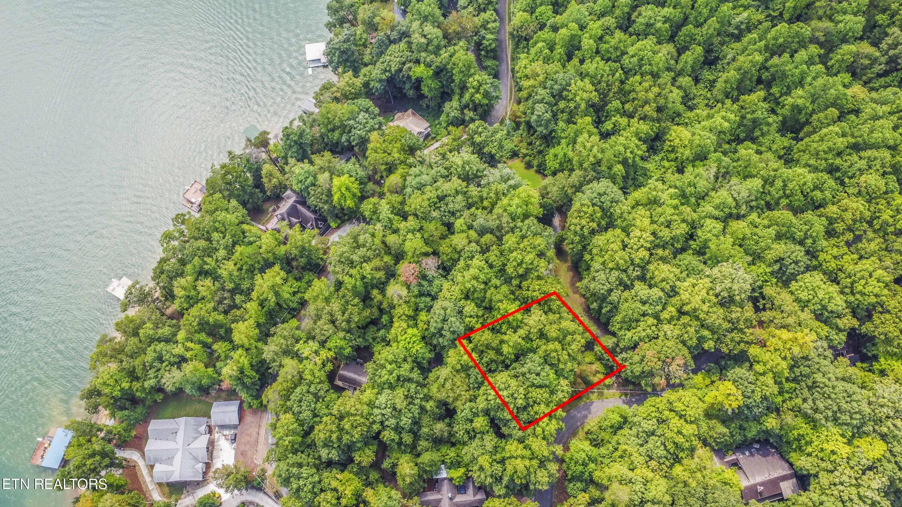 Norris Lake Real Estate - Image# 18