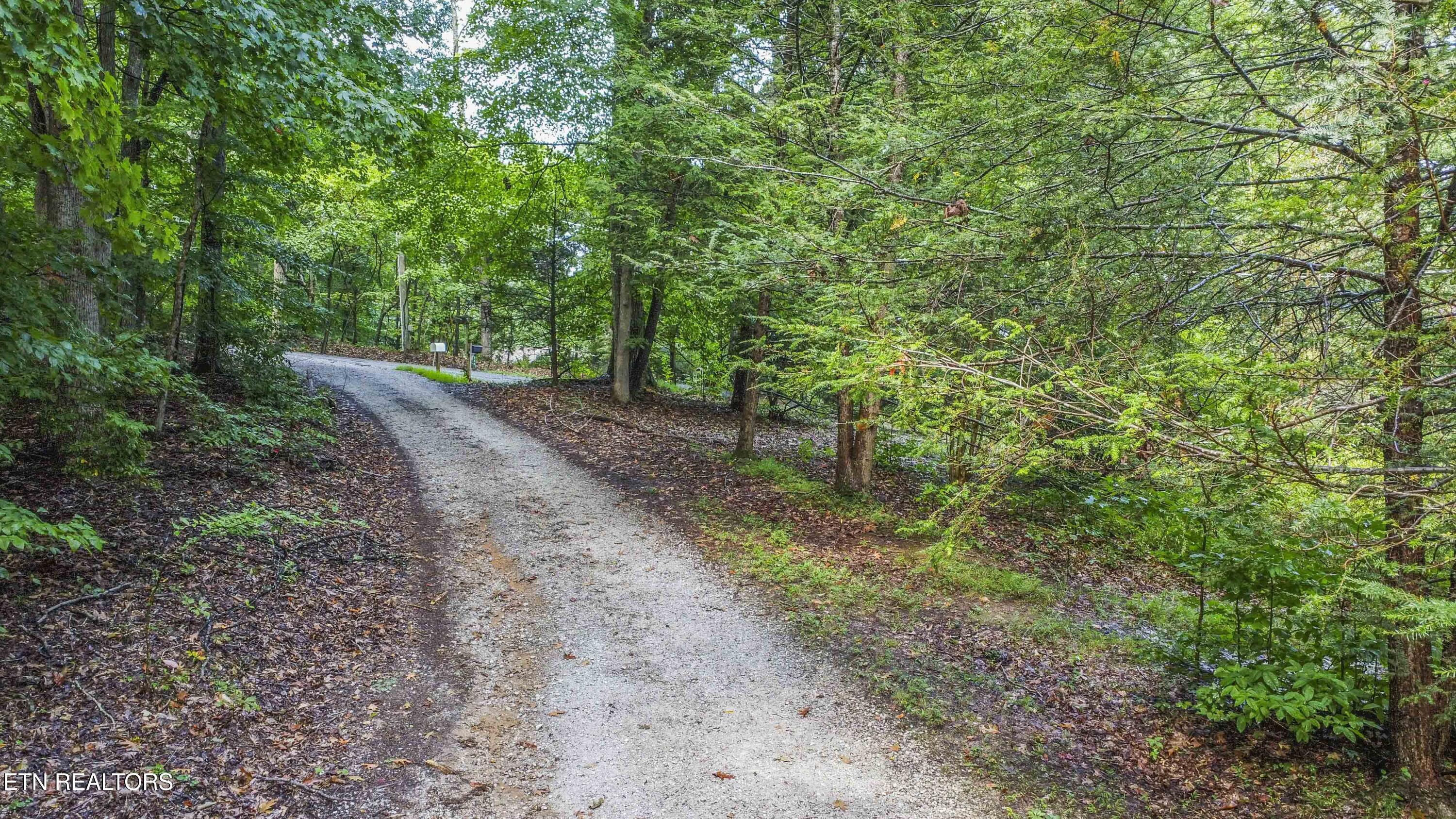 Norris Lake Real Estate - Image# 6