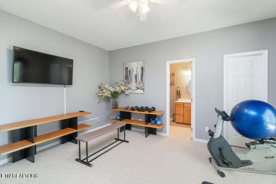 Norris Lake Real Estate - Image# 30