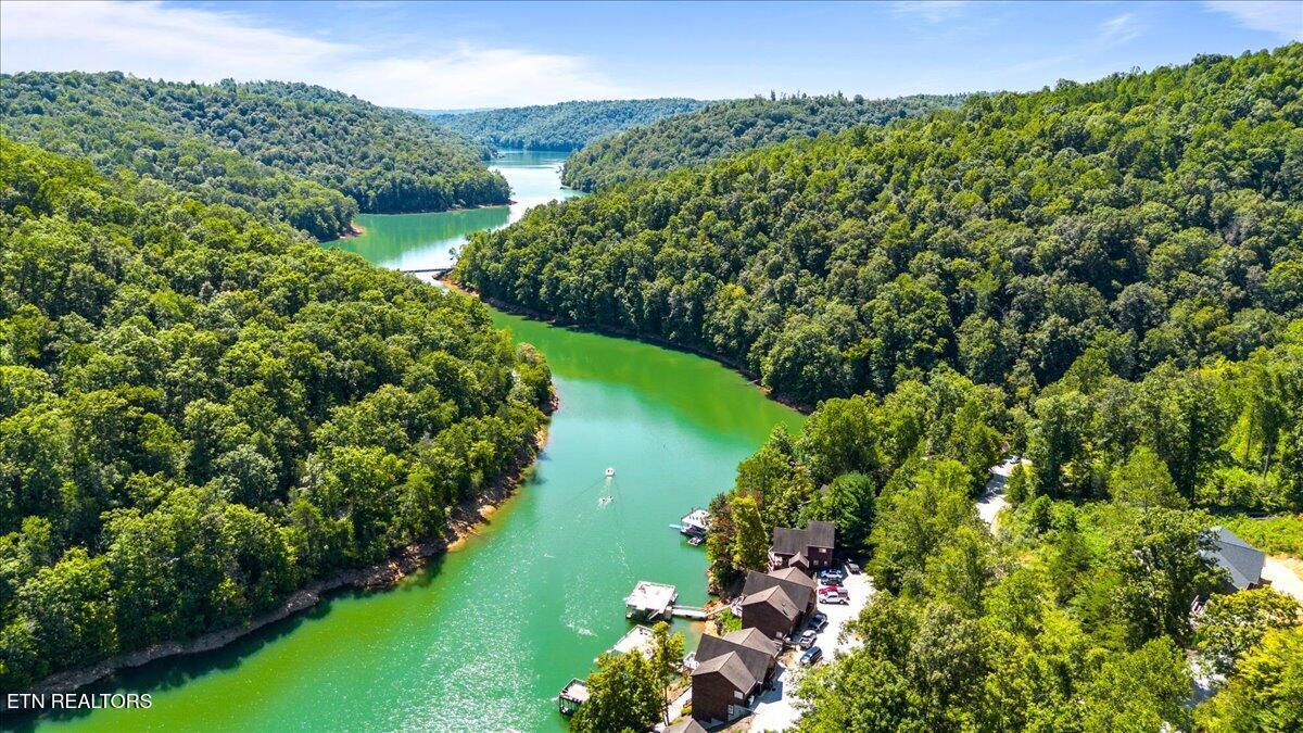Norris Lake Real Estate - Image# 5
