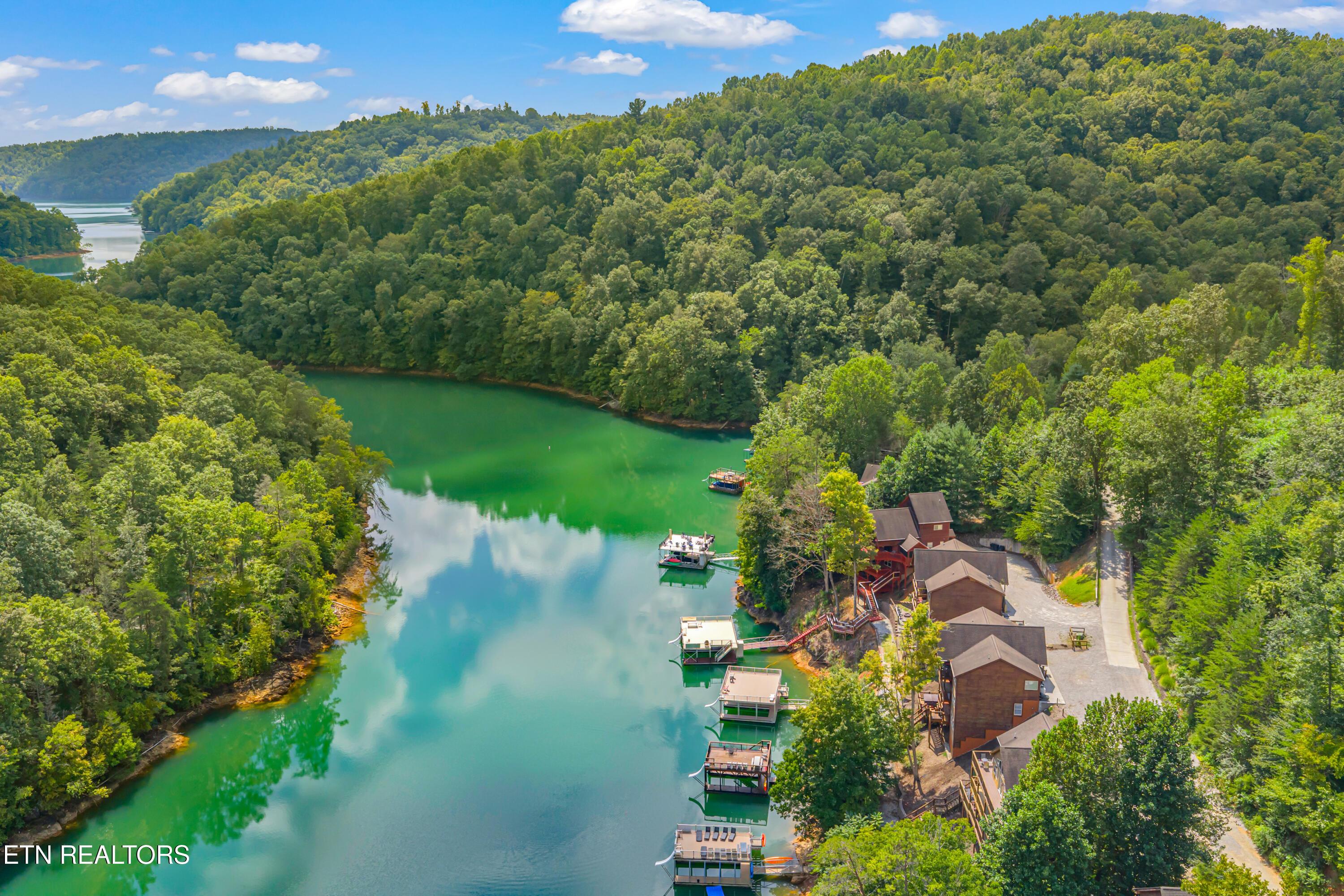 Norris Lake Real Estate - Image# 6