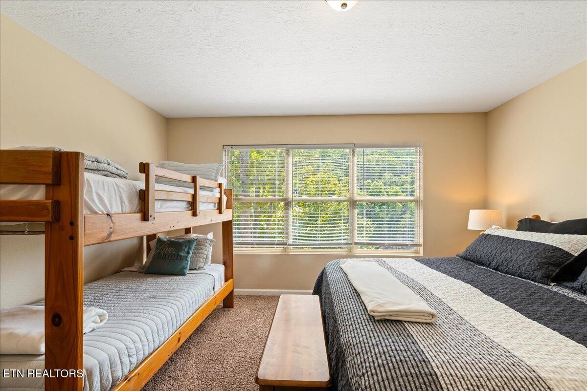 Norris Lake Real Estate - Image# 52
